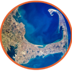 local seasoned firewood